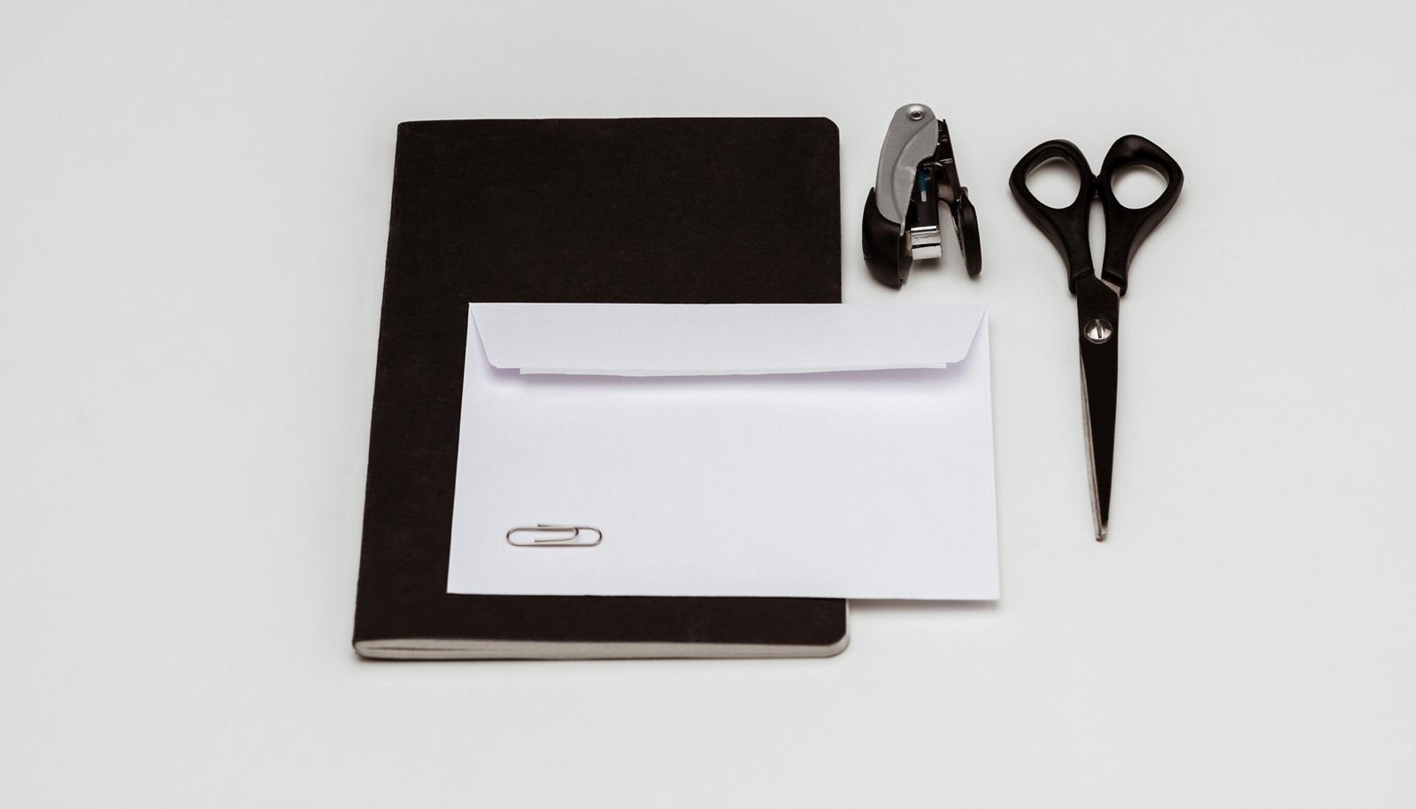 Étudier le budget du projet.